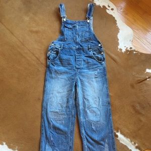 Free People We The Free Denim Overalls Size 27 /28
